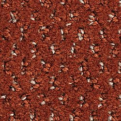 470