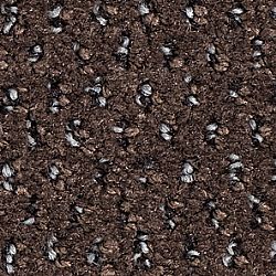 790