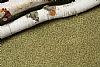 Επαγγελματική μοκέτα Balsan ποιότητα Equinoxe