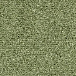 245