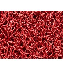 Ποδόμακτρο Spaghetty 001 Red