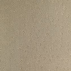 741