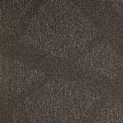 790