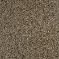 751