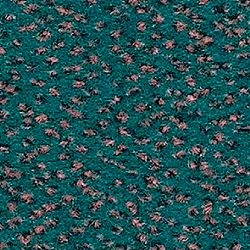 256