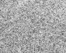 283 Grey