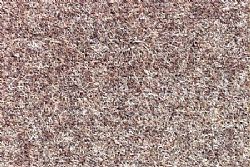 027 Light Beige