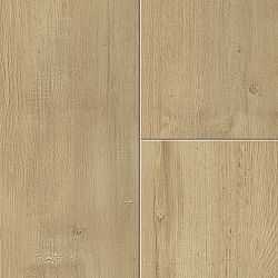 Reed