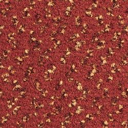 567