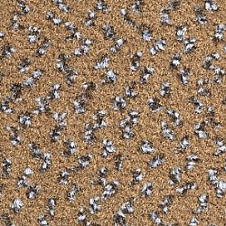 769